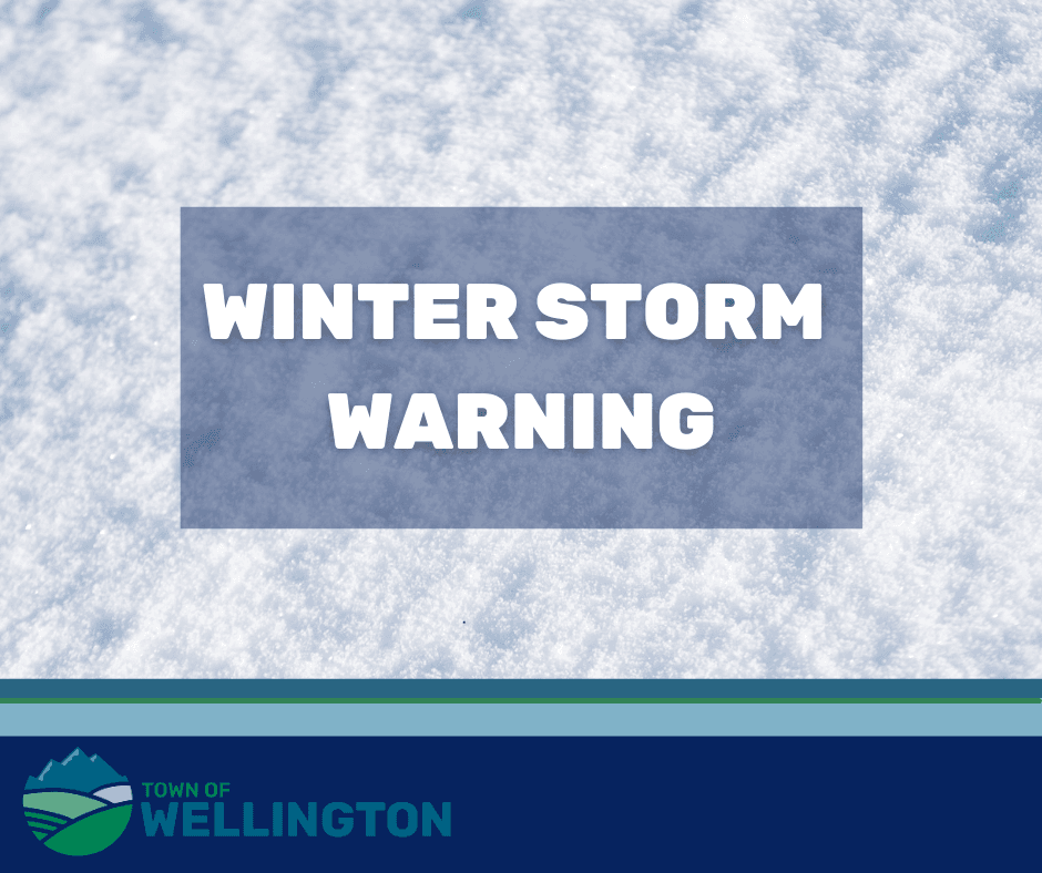 Winter Storm Warning 