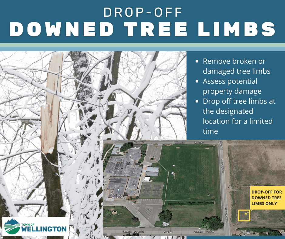 Drop-off downed tree limbs by Wellington middle school off 6th street