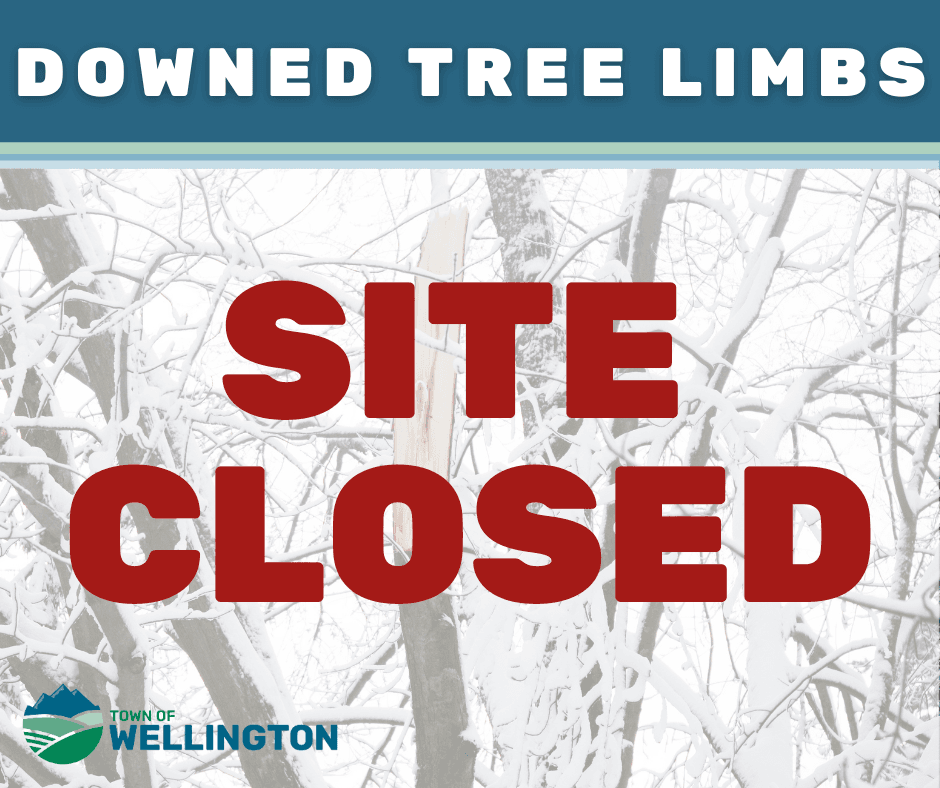 Tree Limb Site Closed 