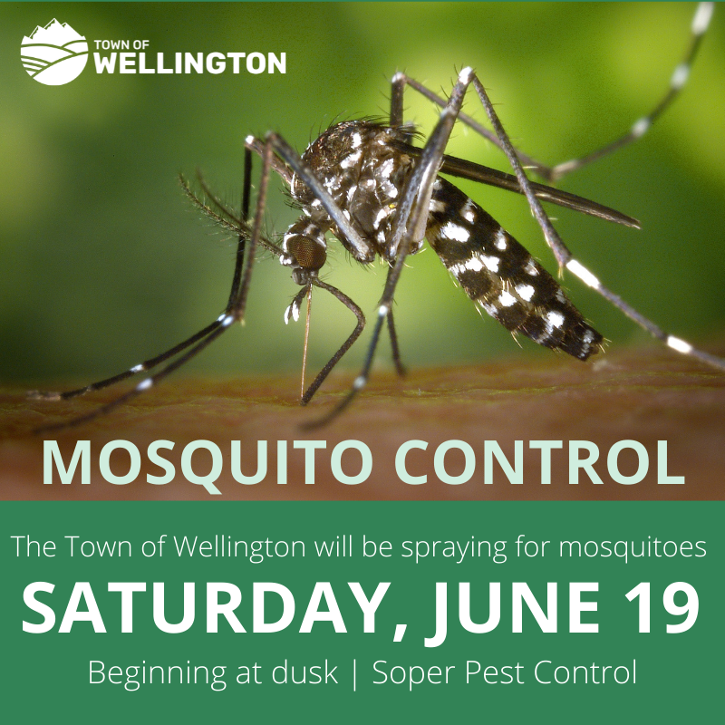 Mosquito Spray  - June 19, 2021
