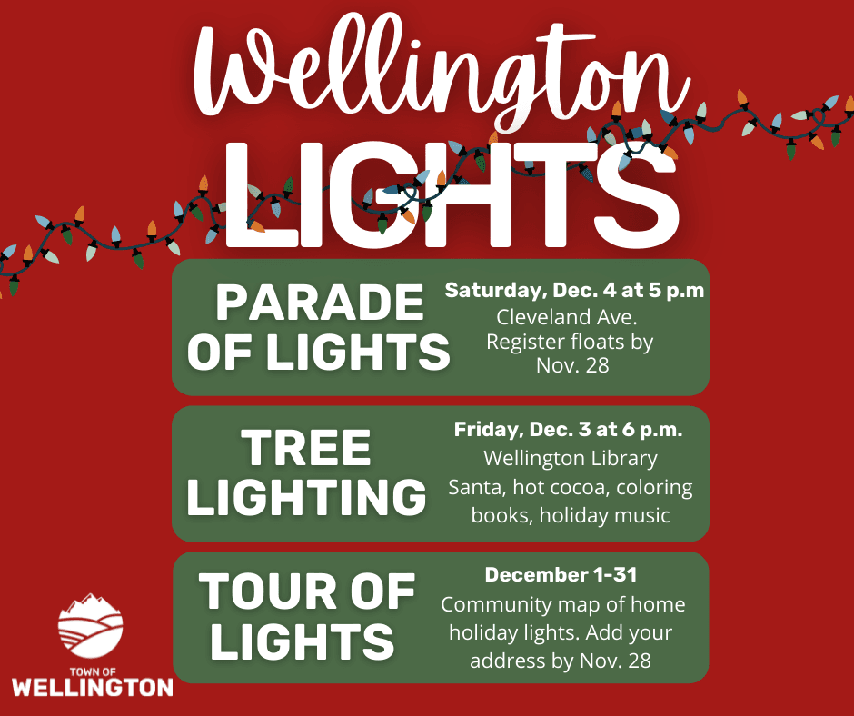 Wellington Lights Schedule click to register