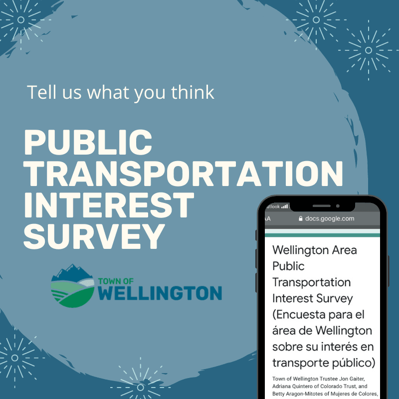 Transportation Survey 