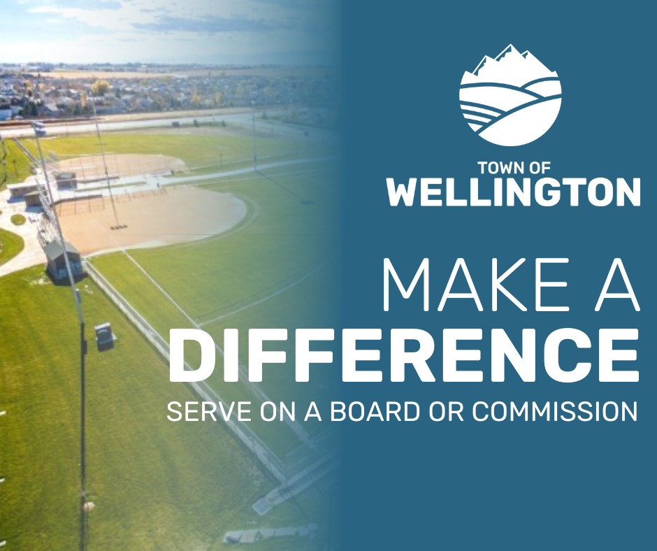 Boards and Commissions