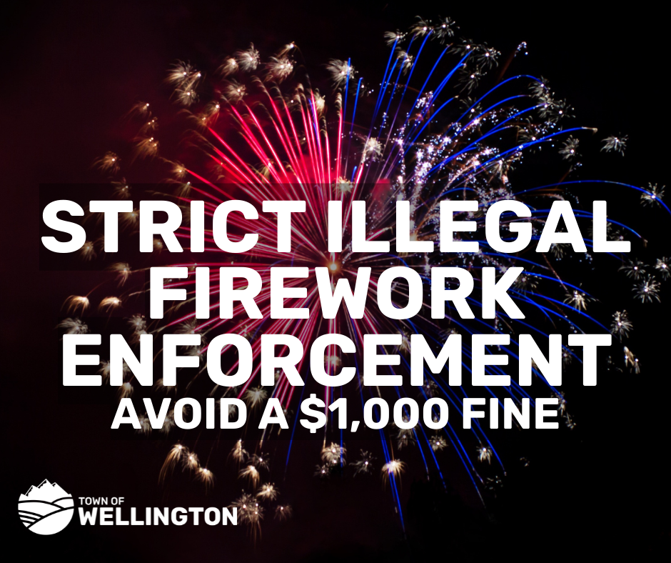Firework - Enforcement is on 