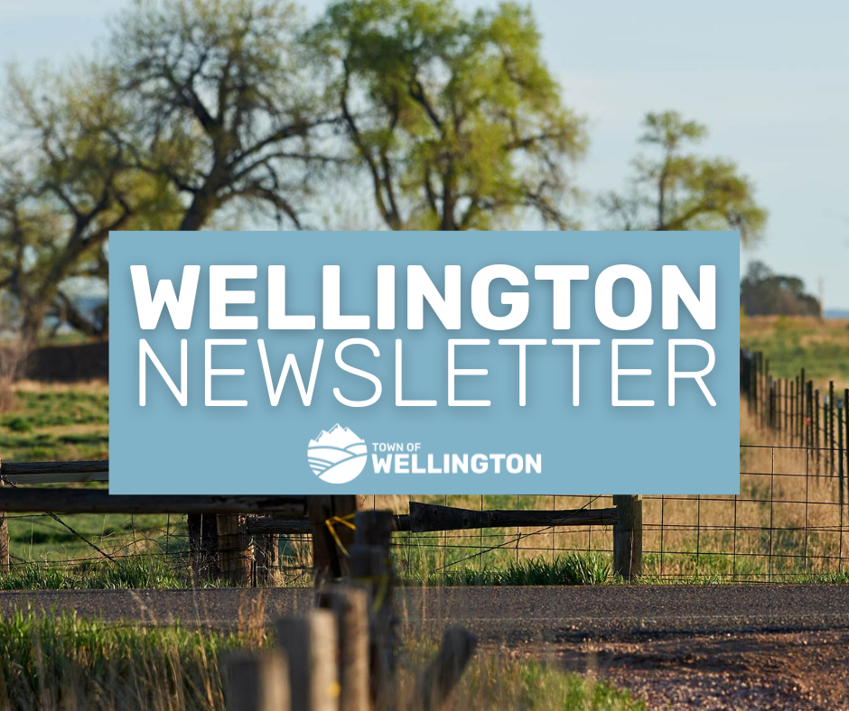 Newsletter Social (Facebook Post)