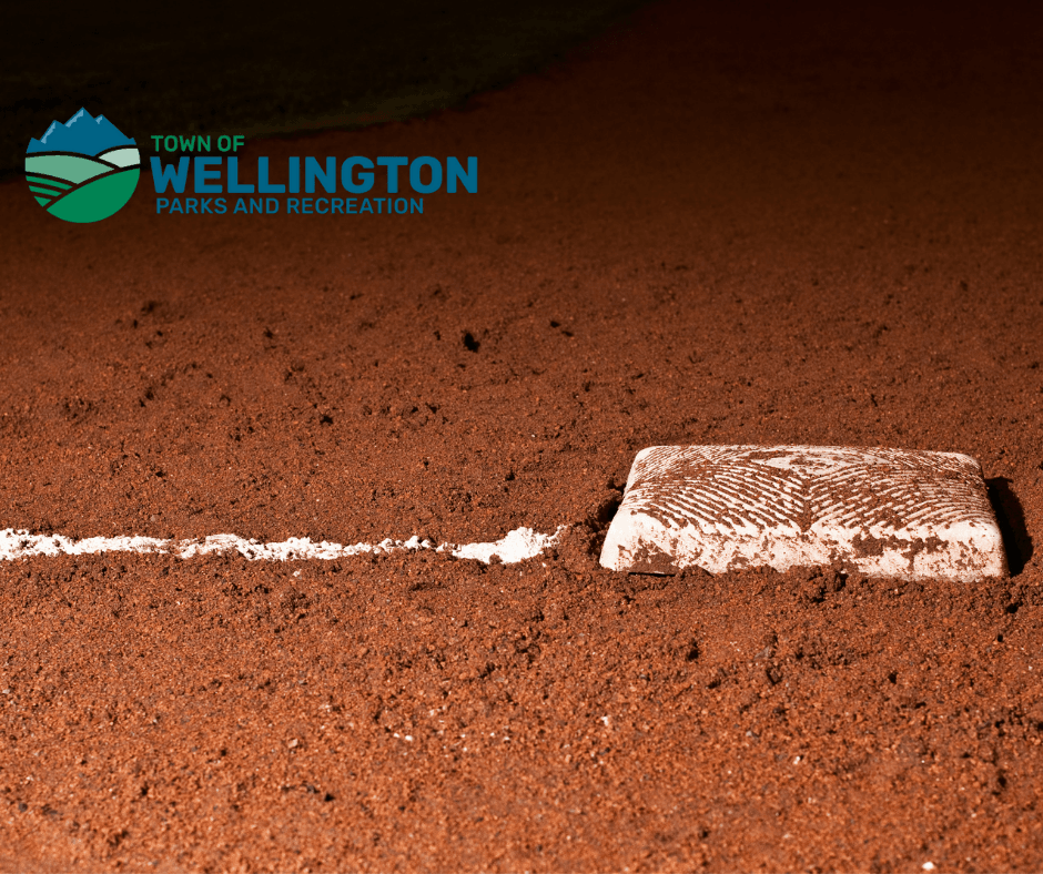 Wellington Baseball Registration