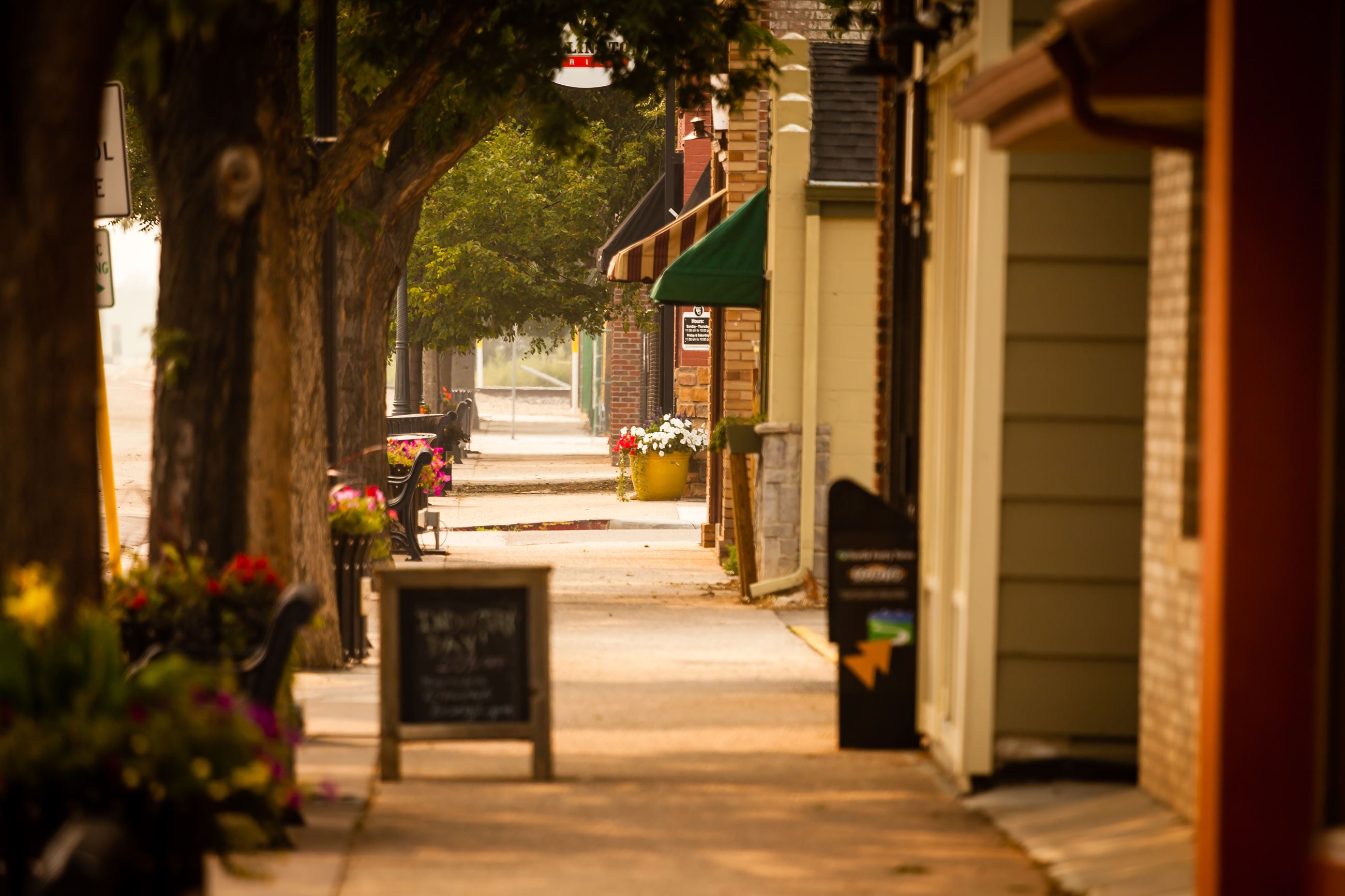 MainStreetWellington